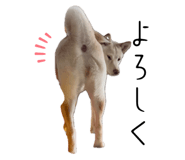 792455588