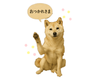 792455592