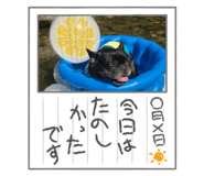792463708