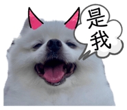 792469899