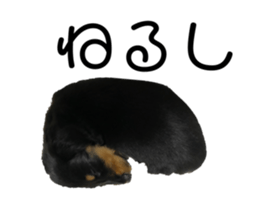 792482946