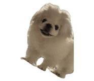 792488505