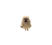 792488520