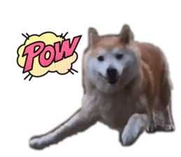 792489411
