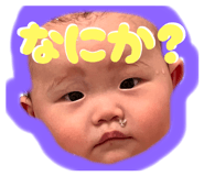 792490184