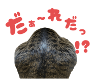 792502210