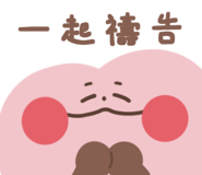 792506554