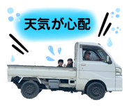 792517695