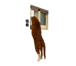 792522780