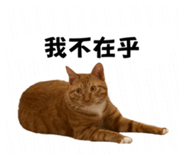 792522784
