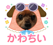 792534399