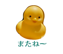 792535038