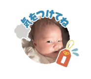 792535119