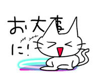 792535544