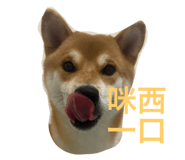 792537161