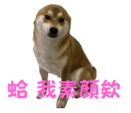 792537165