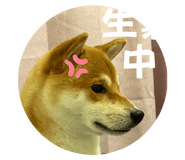 792537174