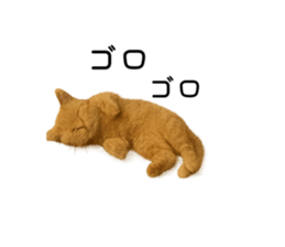 792568775