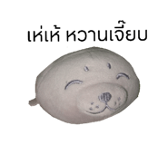 792570042