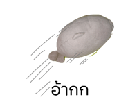 792570044
