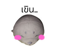 792570056