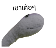 792570057