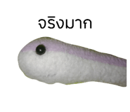 792570061