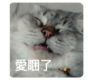 792573013