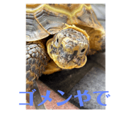792582663