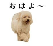 792583620
