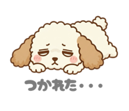 792584770