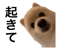 792588018
