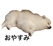 792588020