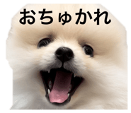 792588021