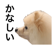 792588025