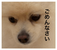 792588026