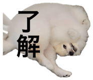 792588029