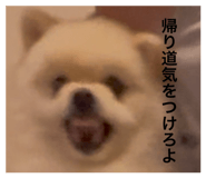 792588032