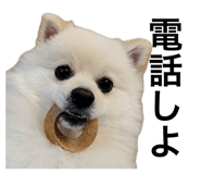 792588035