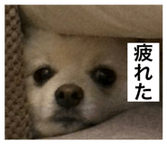 792588038
