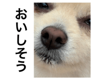 792588042