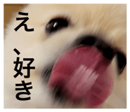 792588043