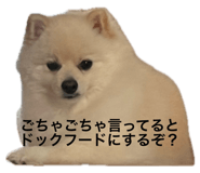 792588045