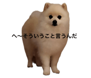 792588047