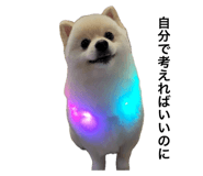 792588051