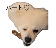 792588052