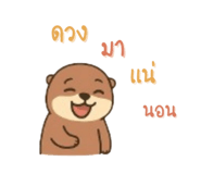 792595426