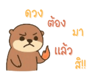 792595431