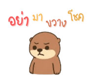 792595443