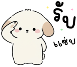 ลายที่ 11